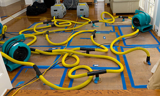 Professional Flood Damage Restoration technician working in Naples, TX